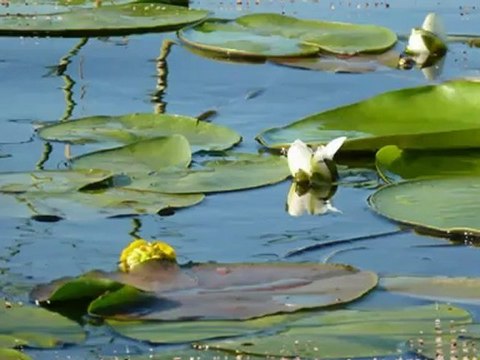 Рыбалка Волга