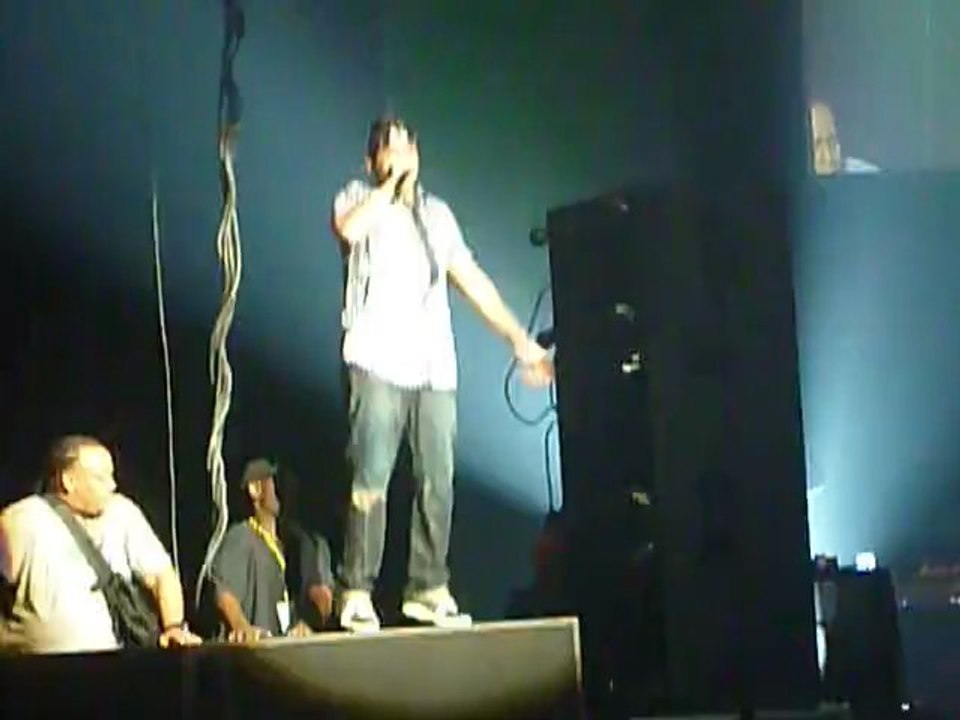 Sean Paul - Temperature (Live at Zénith de Toulouse - June 2010)