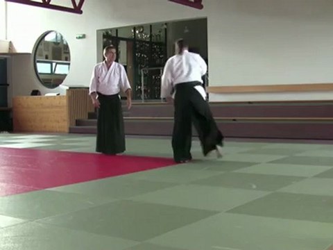 Jodan Tsuki Irimi nage Ura