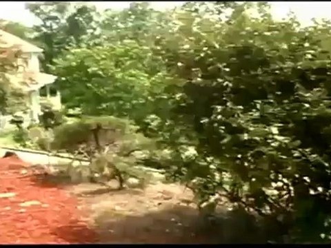 Front Yard Landscaping Atlanta|Landscape Design Atlanta|Outdoor Makeover