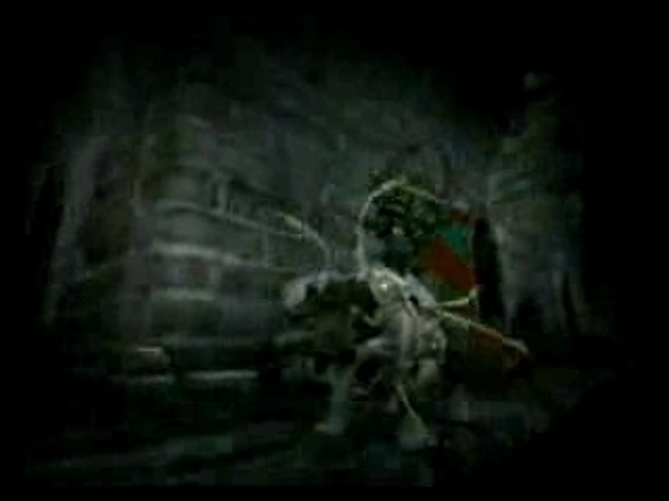 Twilight princess