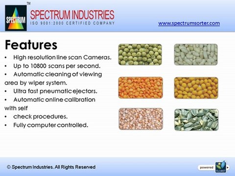 Colour Sorter Machine Supplier in India