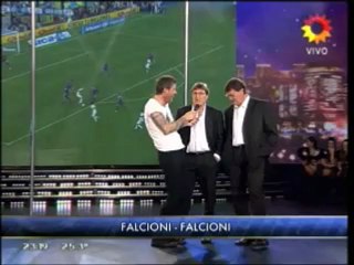 falcioni vs falcioni