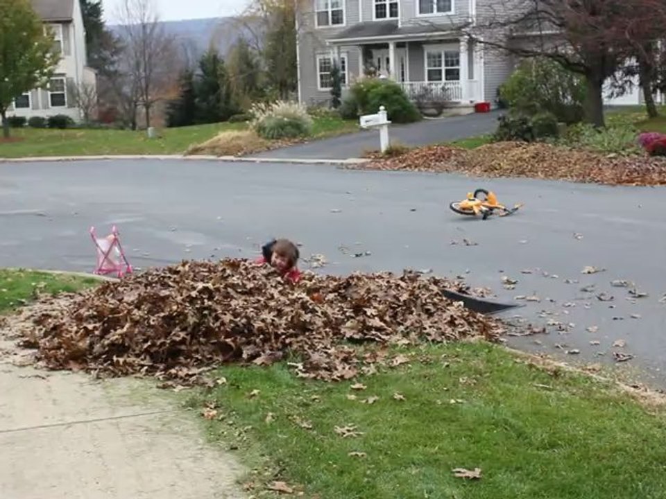 Dans les feuilles