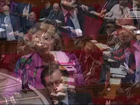 Marie-Jo Zimmermann (UMP) interpelle Dominique Bertinotti sur le mariage pour tous