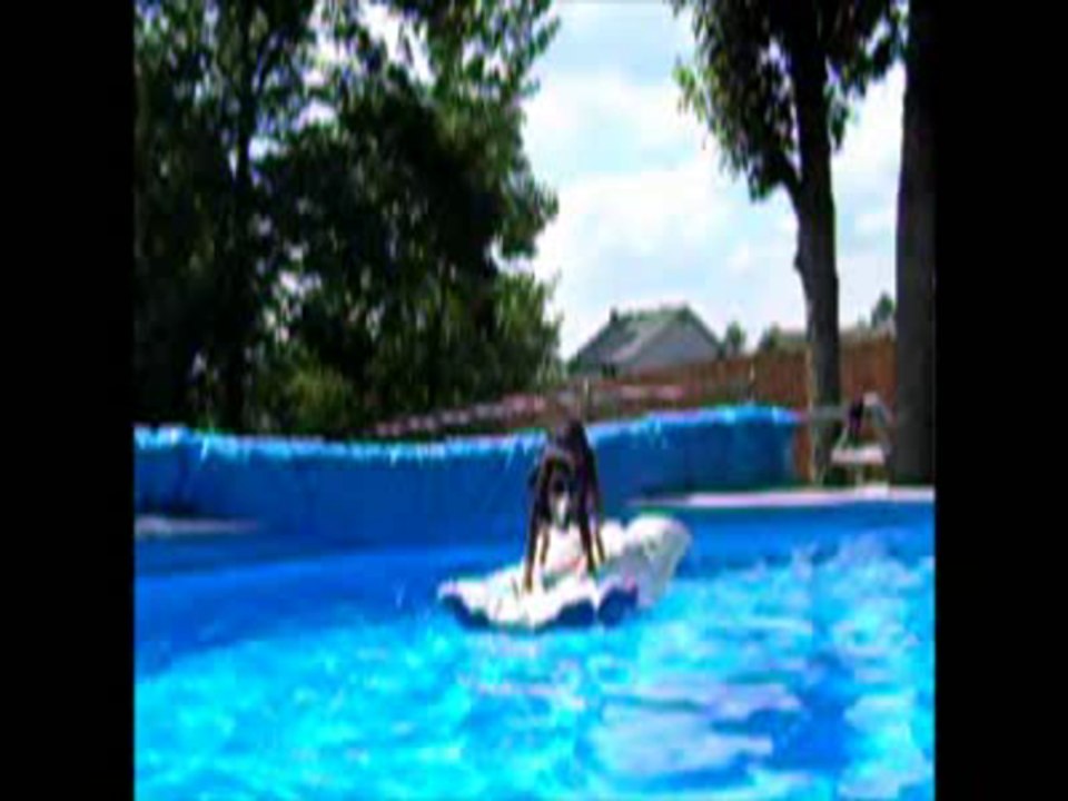 Let's Go Surfing