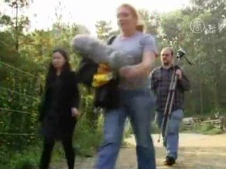 Знакомьтесь: Косик - слон, говорящий по-корейски