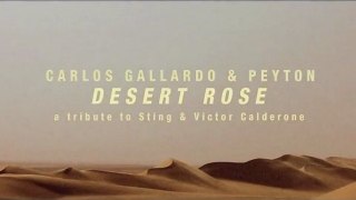 Carlos Gallardo & Peyton - Desert Rose (Official Teaser)