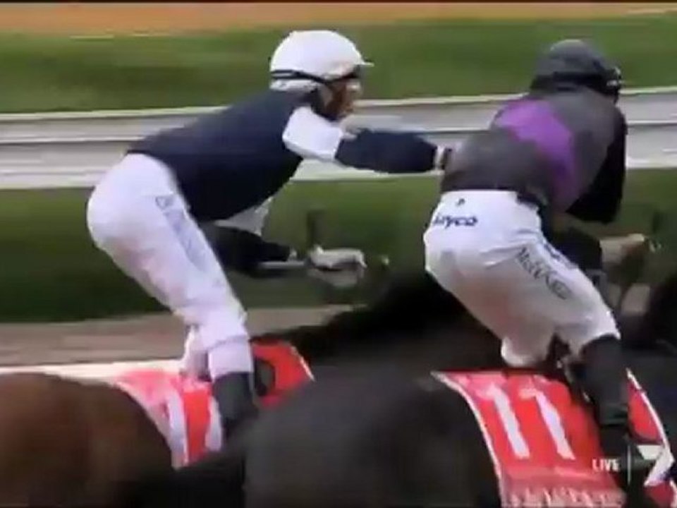 Legendär für Fortgeschrittene: Bro Fist auf Pferden