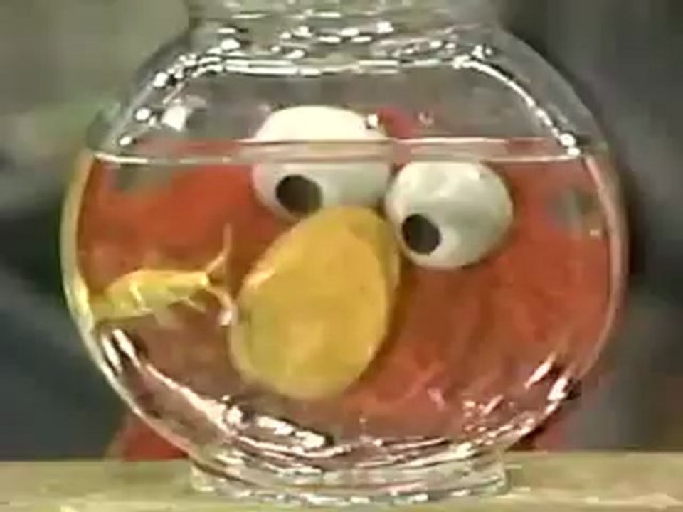 Sesame Street-Dolphins