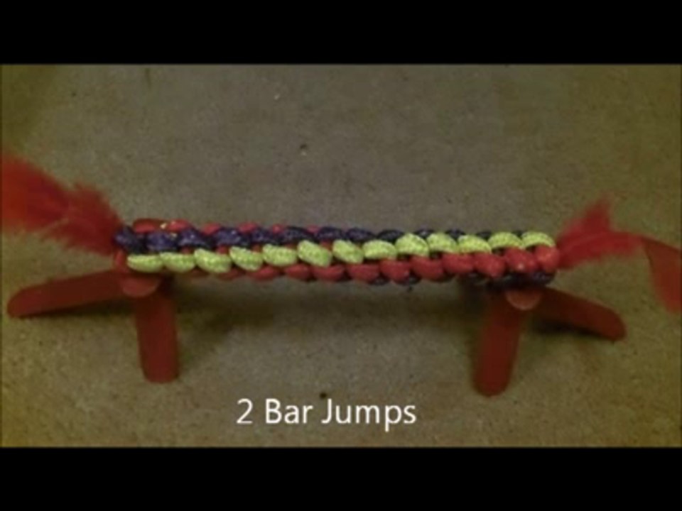 Guinea Pig Agility
