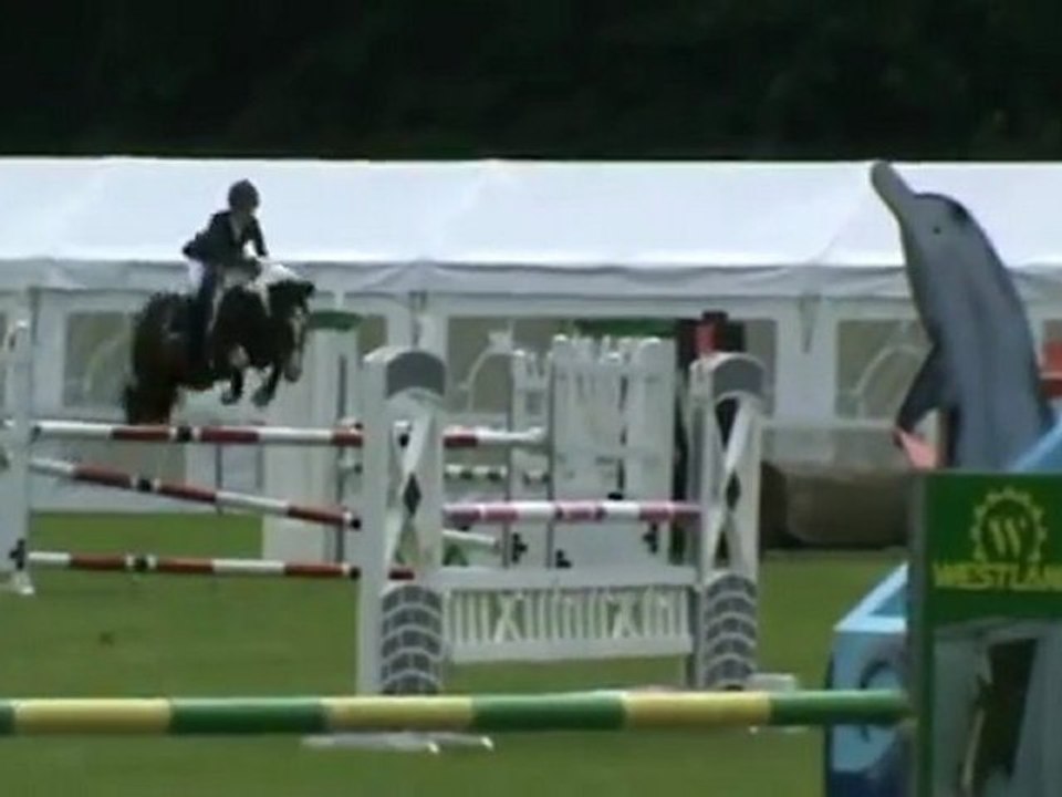 Poney  niveau international sur parcours 120