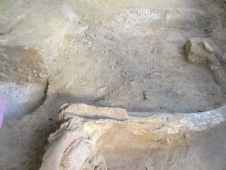 Seine-et-Marne : un squelette quasi-complet de mammouth découvert