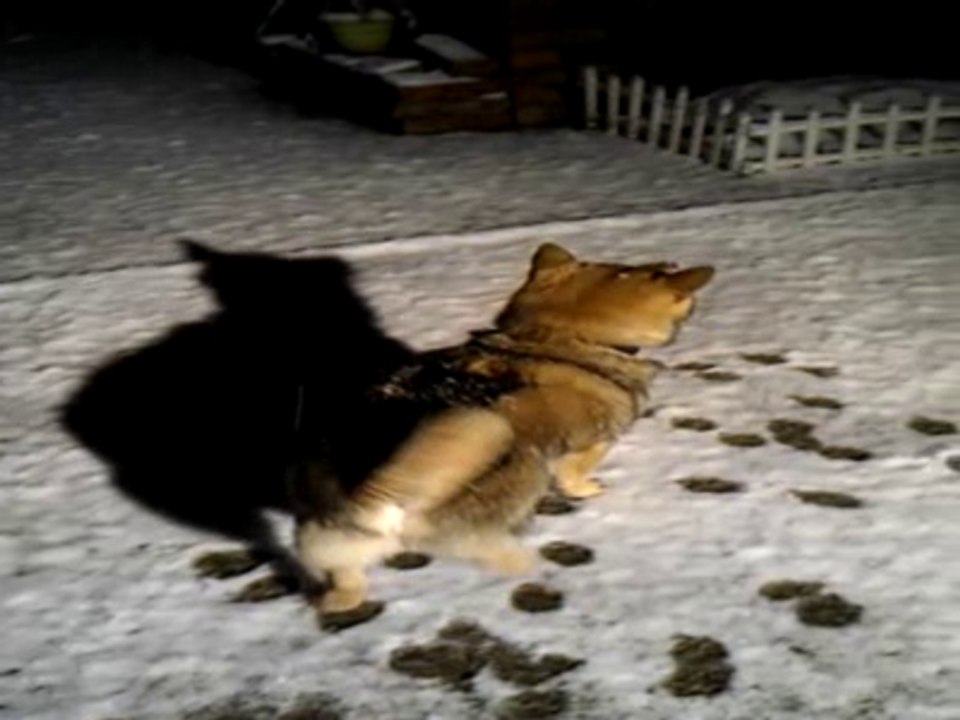 Silly Mo in the Sno!!!