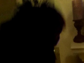 Dog goes berserk over monkey on TV...