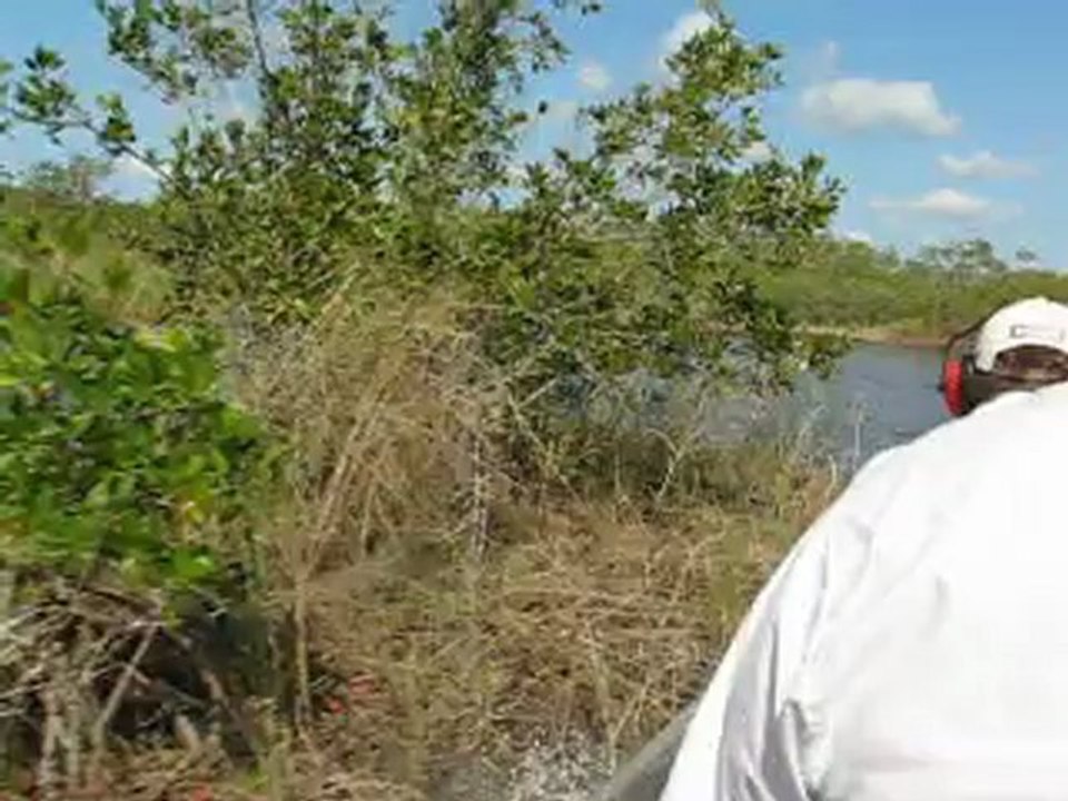 Airboat Everglades north 2007
