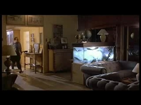 Un indou dan la city