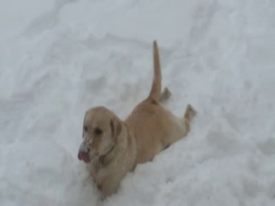 Ellie loves snow!