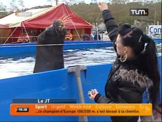 Boris, un lion de mer superstar!