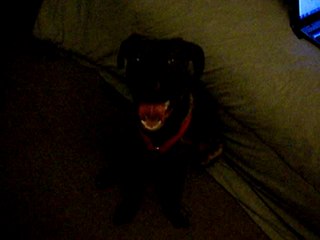 SHAY SHAY SAYING I LOVE U