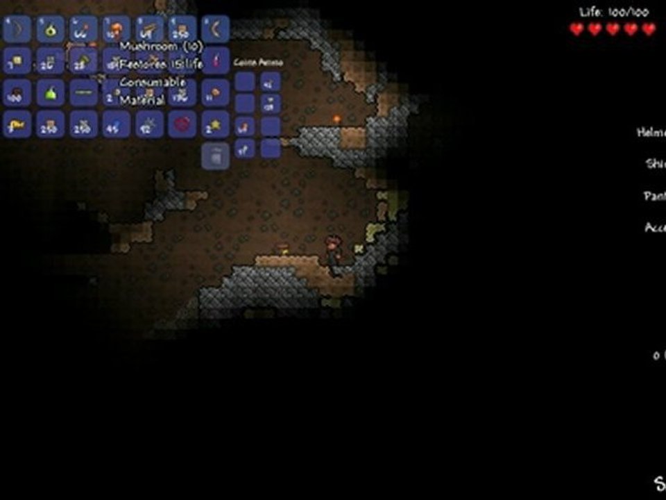 Terraria Episode 11
