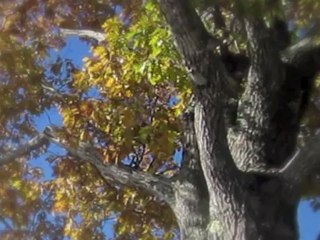 The Artist;  it always happens that way  by michael hermiston artist version