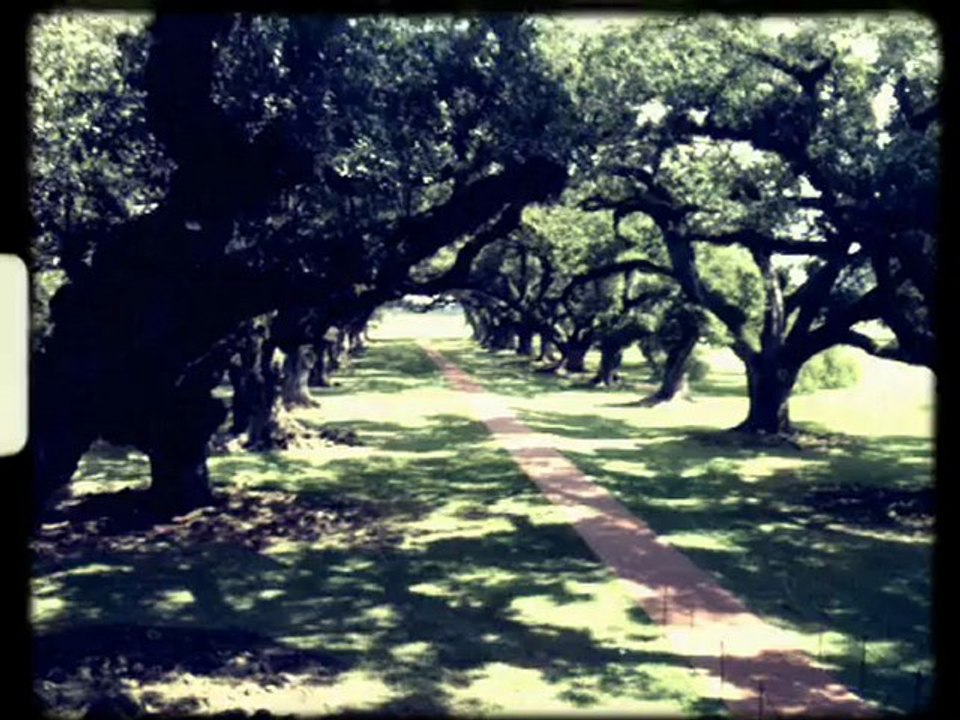 Oak alley Planatation