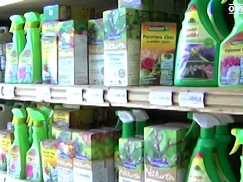 Jardinage d'automne: traitements anti-insectes - Conseils d'experts - Quejadore.com