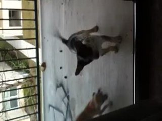 Window Washers!!