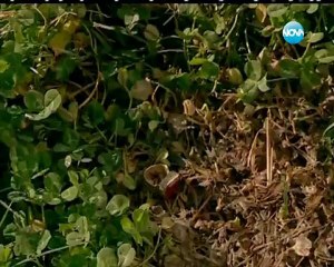 Щастливи заедно / Aska Surgun 03 – Емоционална драма с любимите актьори 🌟