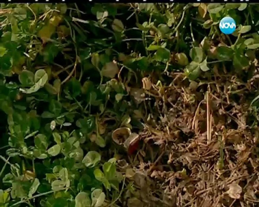 Щастливи заедно / Aska Surgun 03