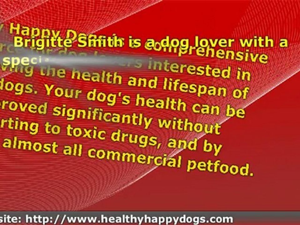 Your Dog Health Is At Risk