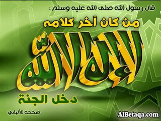 عندما ينزل ملك الموت - محمد الشنقيطي