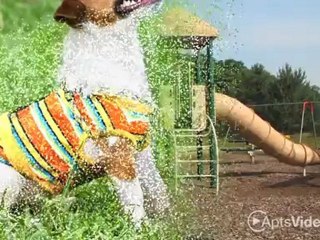 Steeplechase at Shiloh Crossing Apartments in Avon, IN - ForRent.com