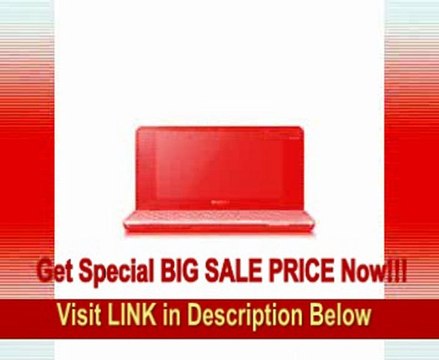 BEST BUY Sony VAIO P Series Lifestyle PC VGN-P588E/Q