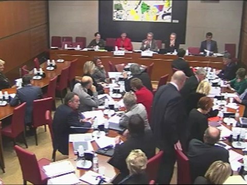 Interventions d'Hervé Féron en commission des Affaires Culturelles sur les crédits de la mission Action Extérieure de l'Etat (6 novembre 2012)