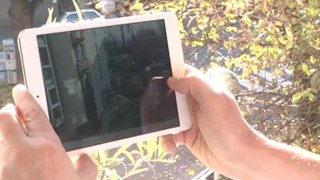 Test de l'iPad-mini face aux autres tablettes 7