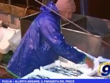 Puglia | Allerta Anisakis, il parassita del pesce