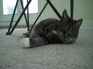 I'm going to get that Camera