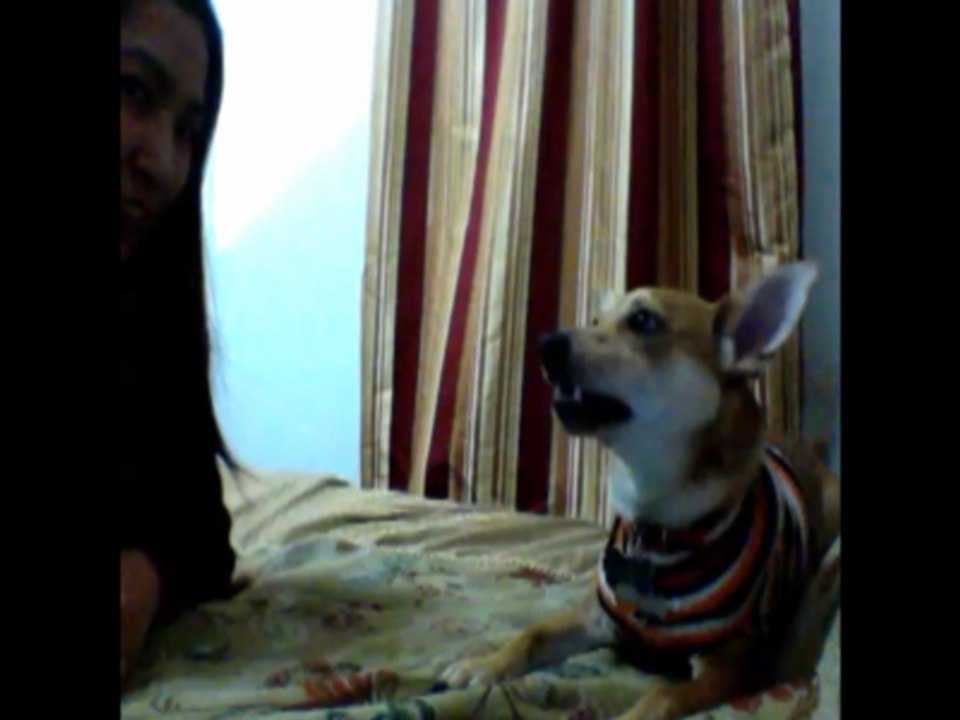 Peanut singing with Ke$sha