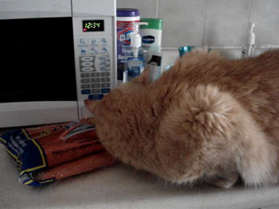 I love Carrots