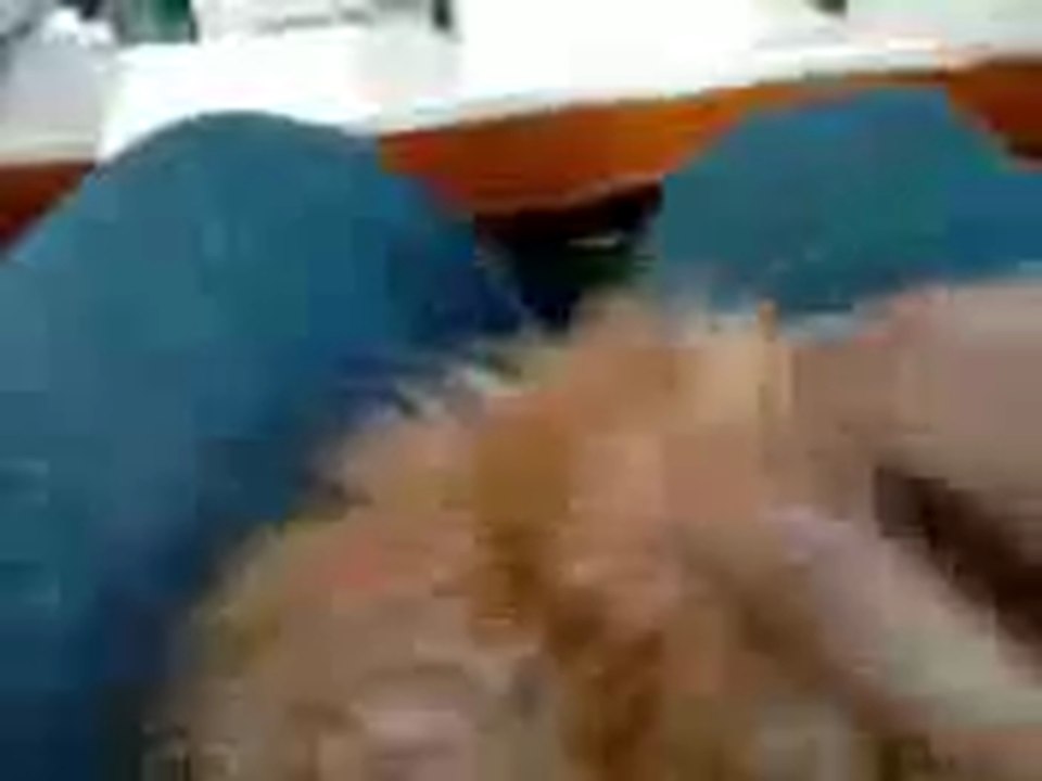 kneady Kitty