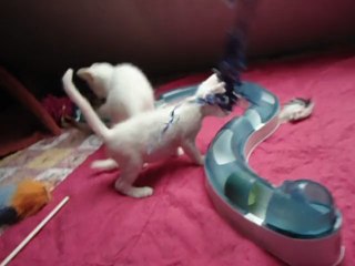 Mes bébés Sven et Zoélie