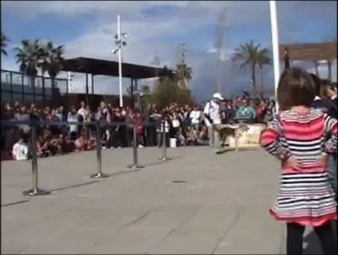 50 perros abandonados de la asociación A.U.P.A. desfilan en Bioparc en busca de un hogar