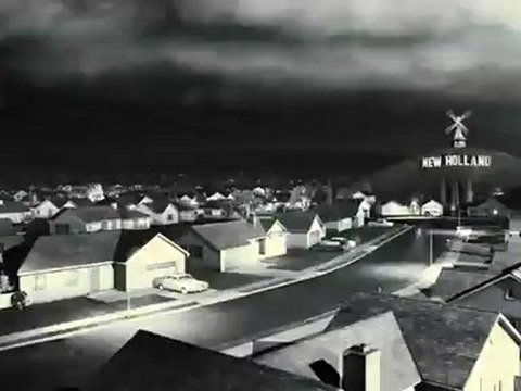 Франкенвини - золотая рыбка