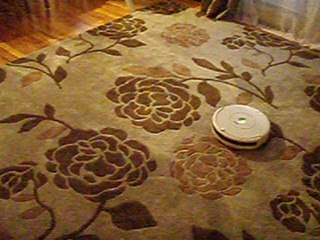 Ava meets Roomba