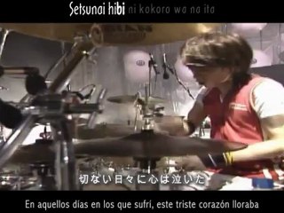 [L-F] L'Arc~en~Ciel - Silver Shining LIVE [Españo + Karaoke]