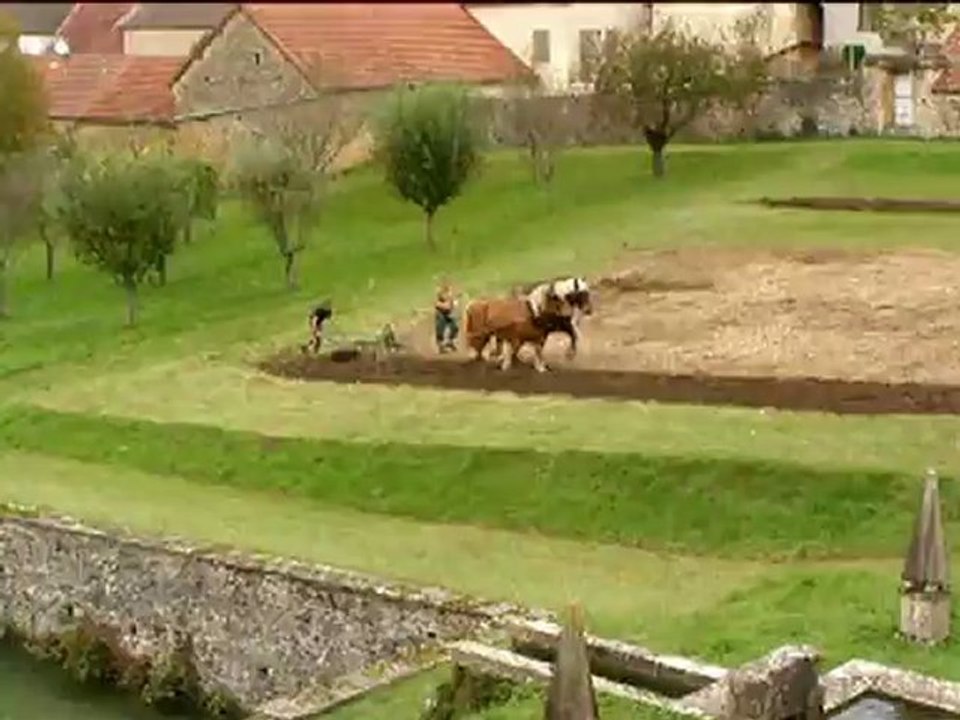 labour chateau 2012