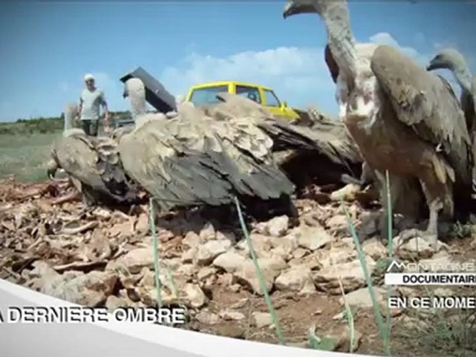 La Dernière Ombre - Bande Annonce