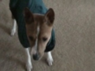 Trying these on for size